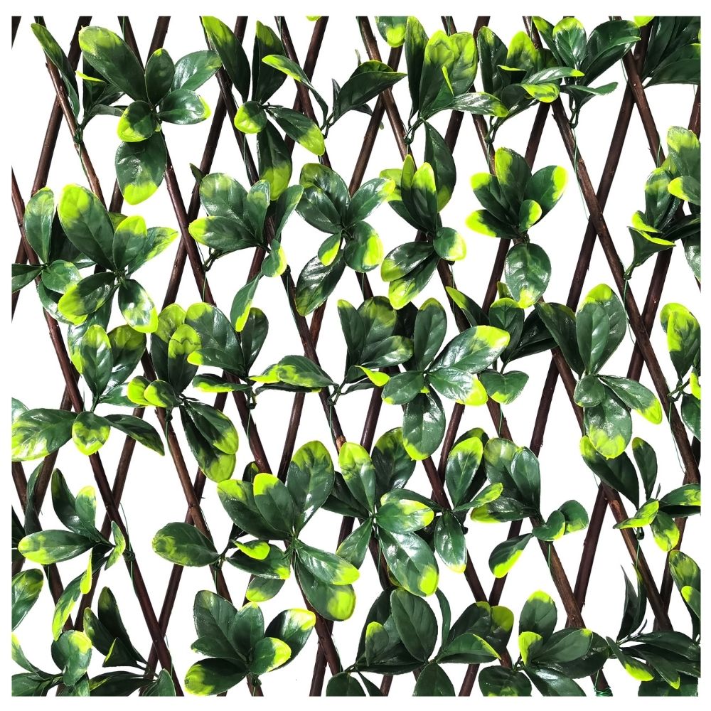 Bayberry Expanding Wooden Trellis - Privacy Screen - 200cm x 100cm