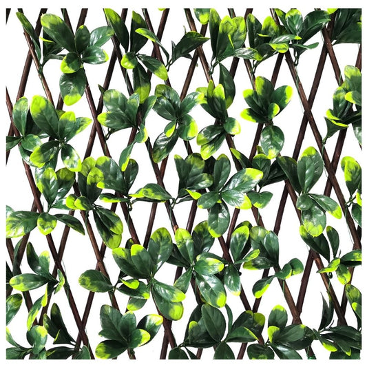 Bayberry Expanding Wooden Trellis - Privacy Screen - 200cm x 100cm
