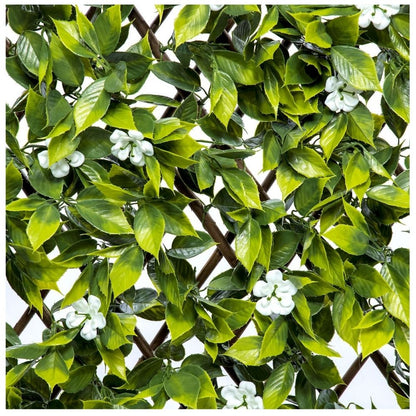 Sakura Expanding Wooden Trellis - Privacy Screen - 200cm X 100cm