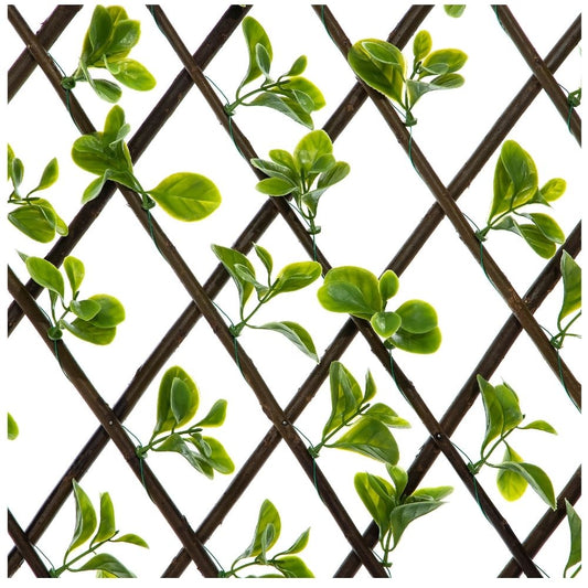 Jade Expanding Wooden Trellis - Privacy Screen - 200cm x 100cm