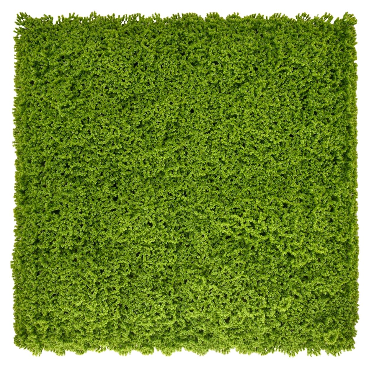Moss - Artificial Living Wall Panel - 1m x 1m