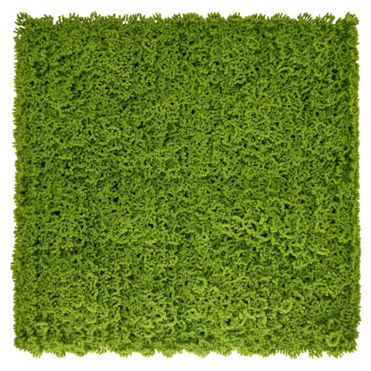 Moss - Artificial Living Wall Panel - 1m x 1m