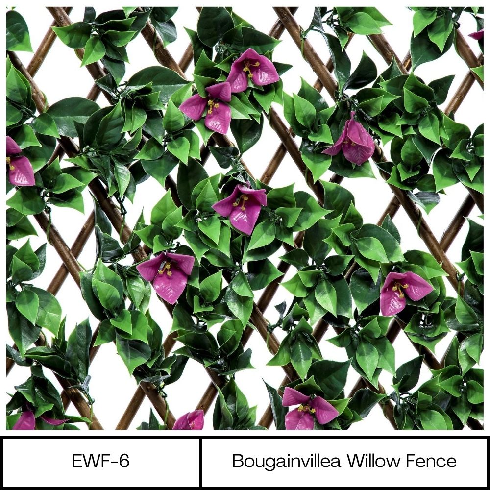 Bougainvillea Expanding Wooden Trellis - Privacy Screen - 200cm X 1000cm