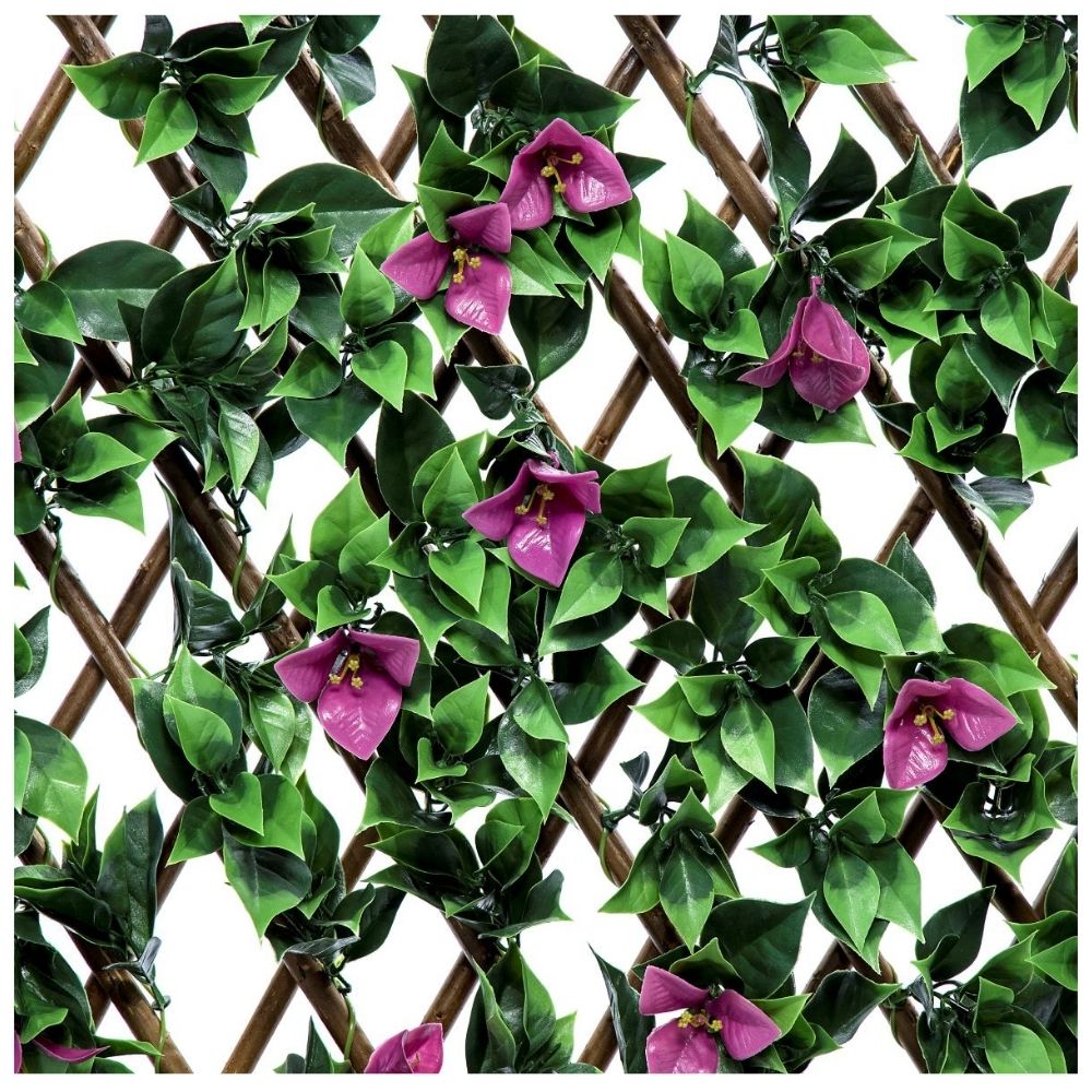 Bougainvillea Expanding Wooden Trellis - Privacy Screen - 200cm X 1000cm