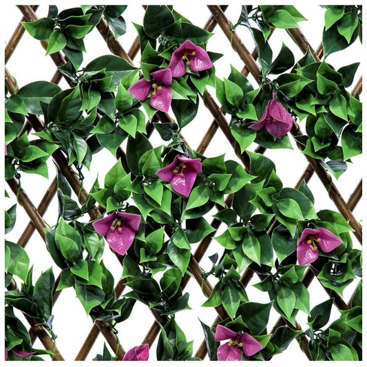 Bougainvillea Expanding Wooden Trellis - Privacy Screen - 200cm X 1000cm