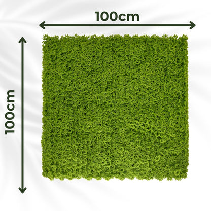 Moss - Artificial Living Wall Panel - 1m x 1m