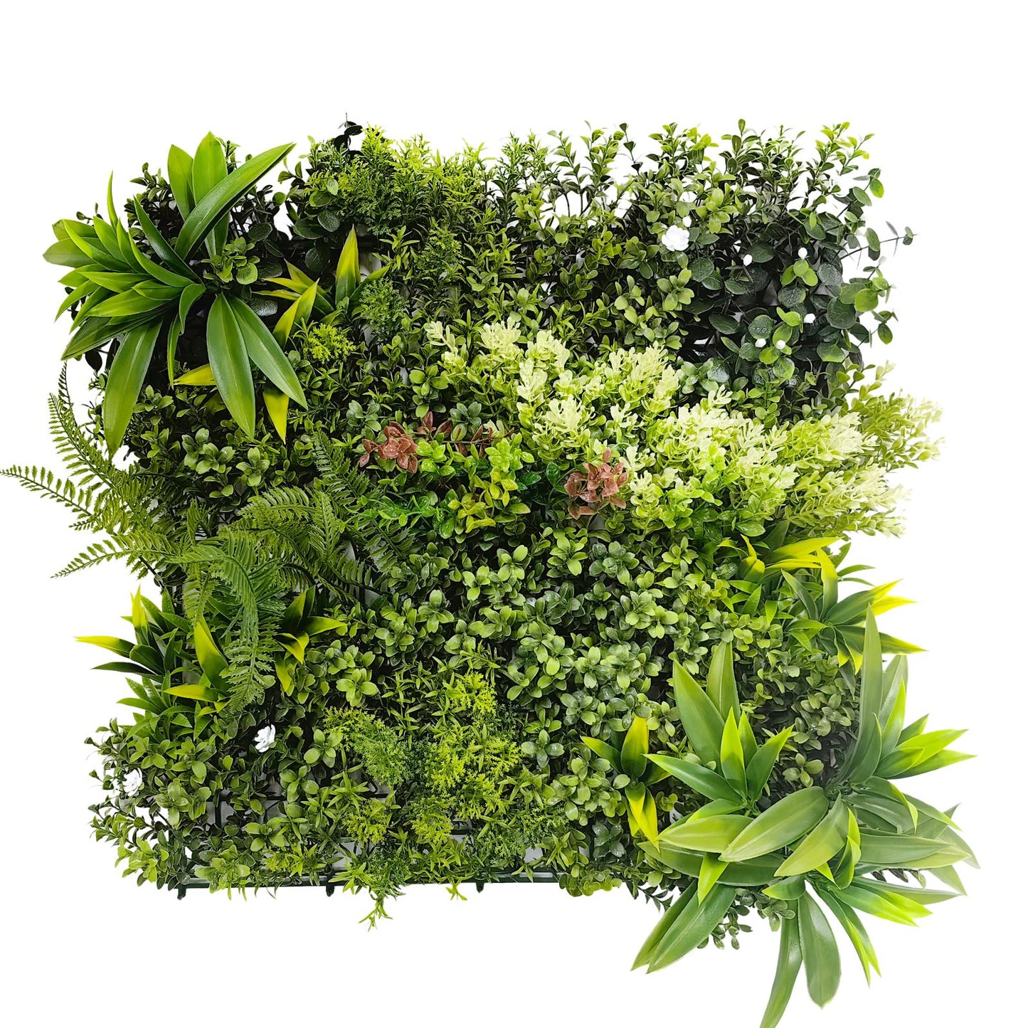Meadow Nest - Set of Three Artificial Living Wall Panels - 50cm x 50cm Each