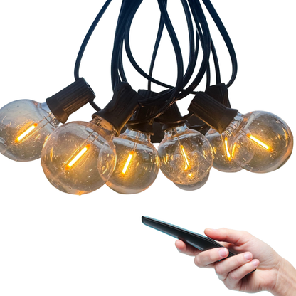 Garden String Lights - Electric
