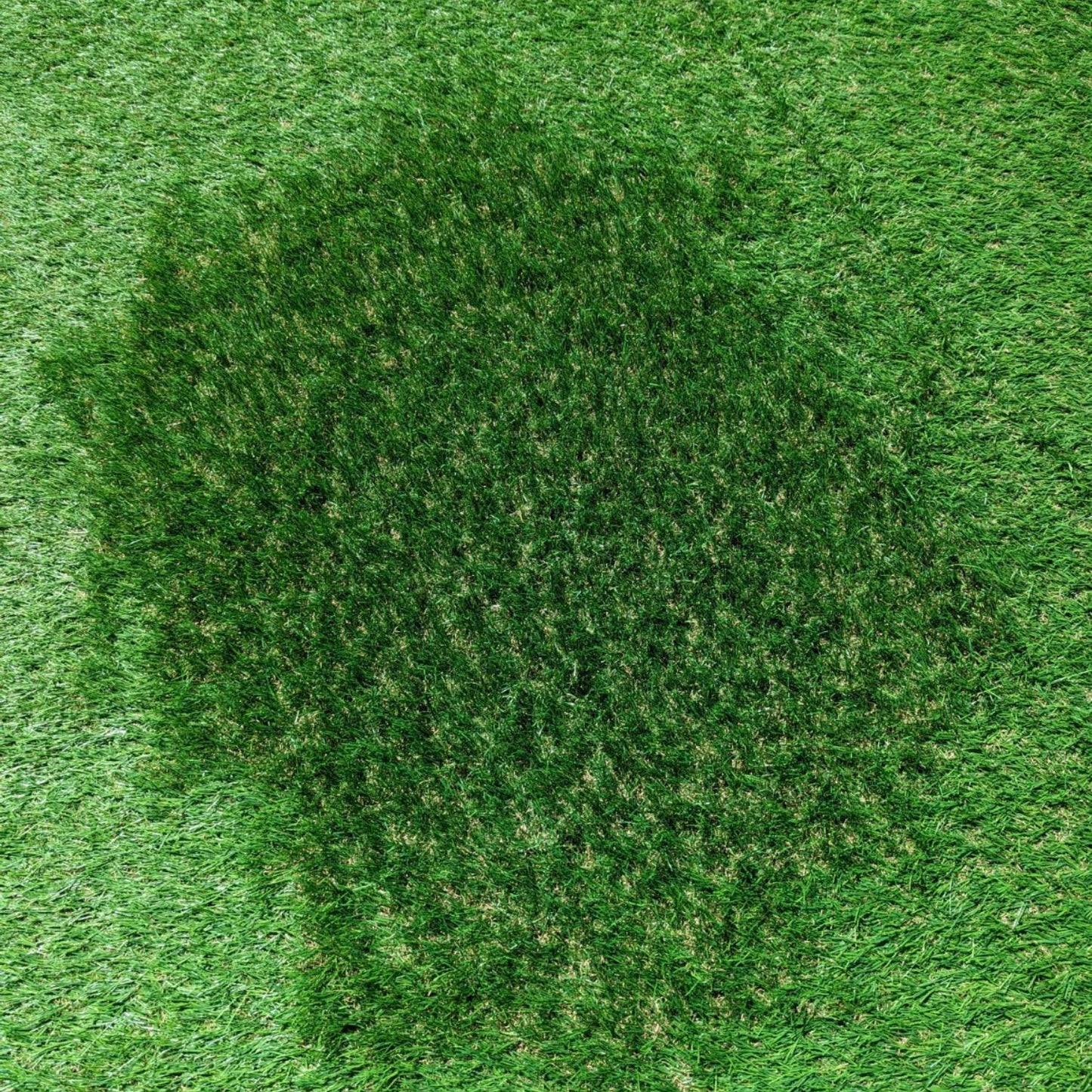 Artificial Grass Rake with Hose Attachment and Cleaning Fluid Dispenser