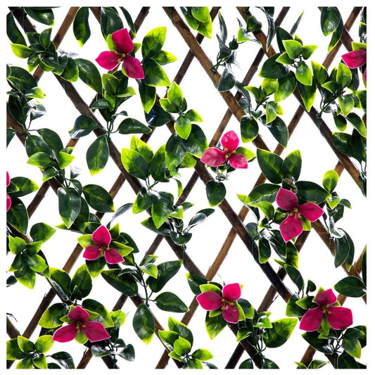 Gardenia Expanding Wooden Trellis - Privacy Screen - 200cm x 100cm