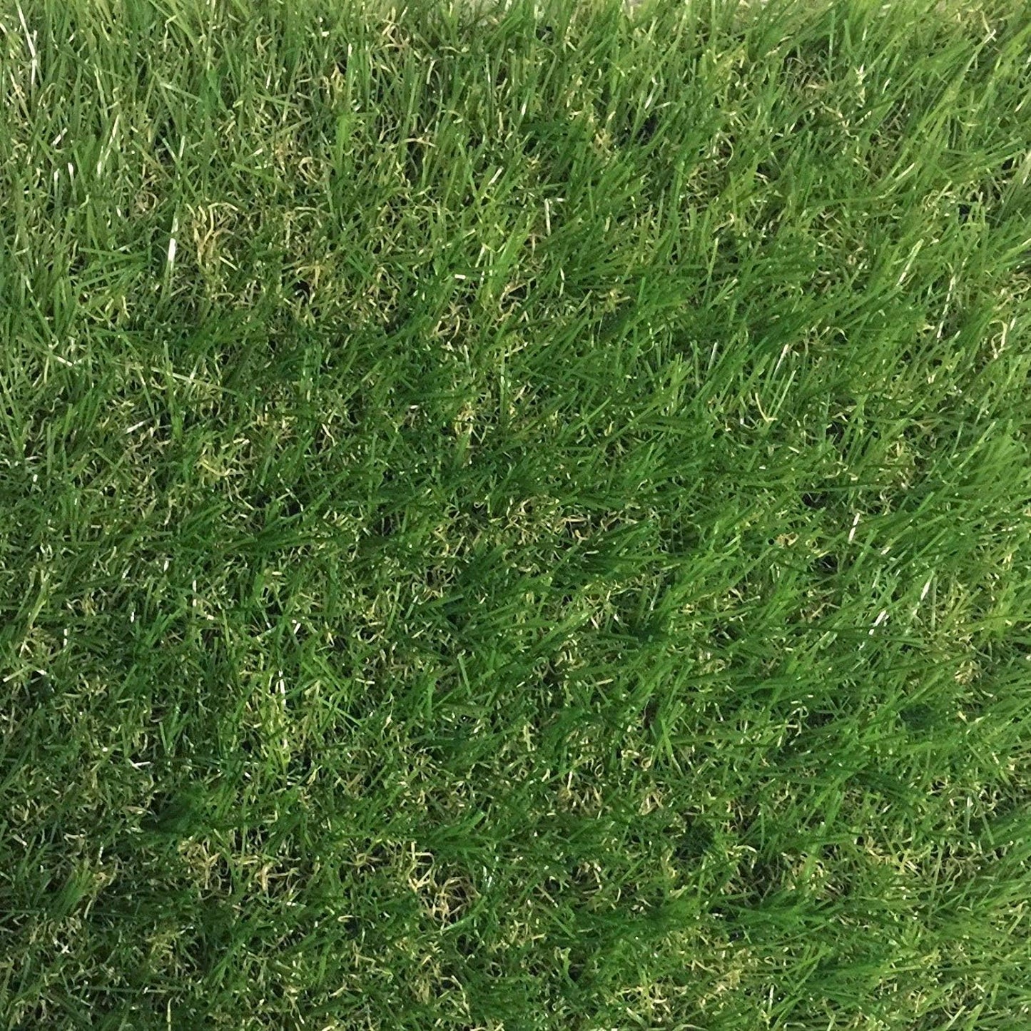 Sample - Ascot 40mm Artificial Grass