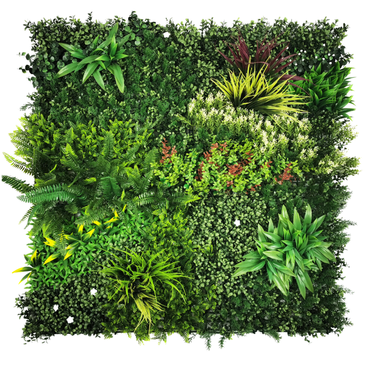 Lush Lonsdale - Artificial Living Wall Panel - 1m x 1m