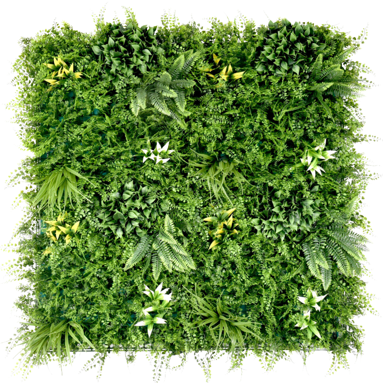 Beacon Fern - Artificial Living Wall Panel - 1m x 1m