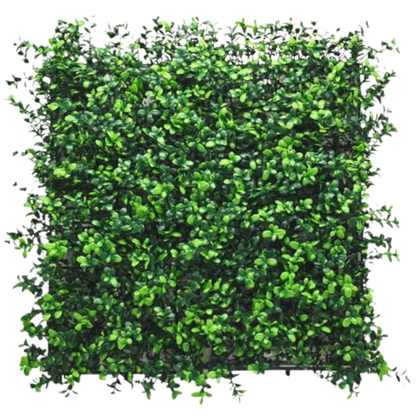 Boxwood - Artificial Living Wall Panel - 50cm x 50cm