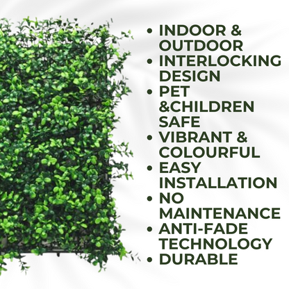 Boxwood - Artificial Living Wall Panel - 50cm x 50cm