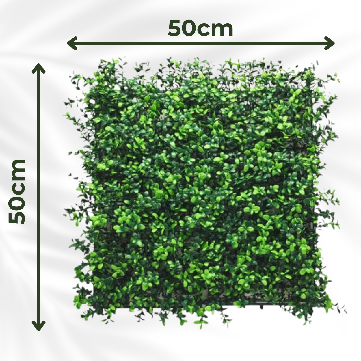 Boxwood - Artificial Living Wall Panel - 50cm x 50cm