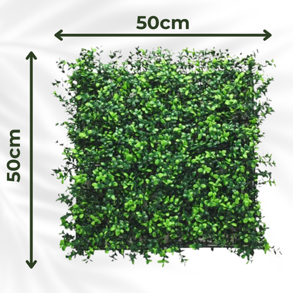 Boxwood - Artificial Living Wall Panel - 50cm x 50cm