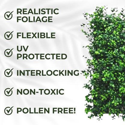 Boxwood - Artificial Living Wall Panel - 50cm x 50cm