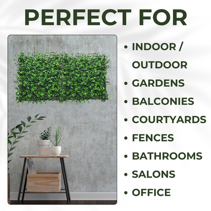 Boxwood - Artificial Living Wall Panel - 50cm x 50cm