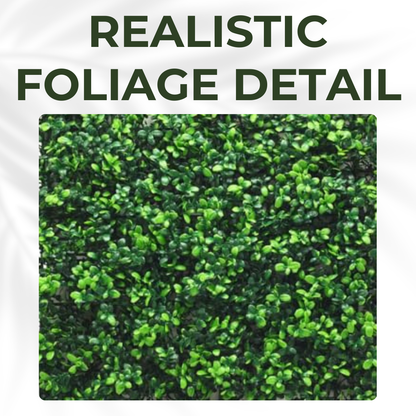 Boxwood - Artificial Living Wall Panel - 50cm x 50cm