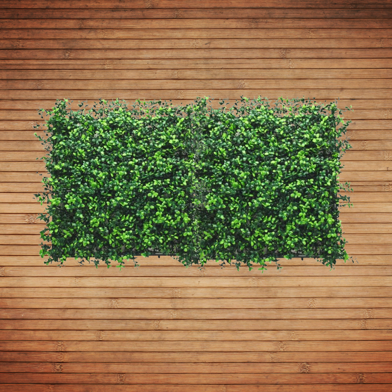 Boxwood - Artificial Living Wall Panel - 50cm x 50cm