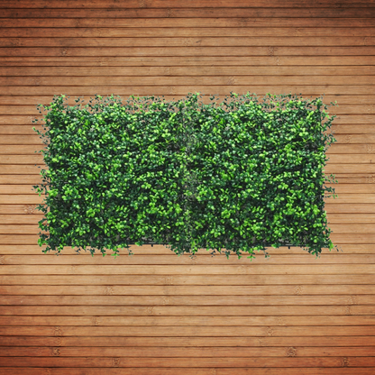 Boxwood - Artificial Living Wall Panel - 50cm x 50cm