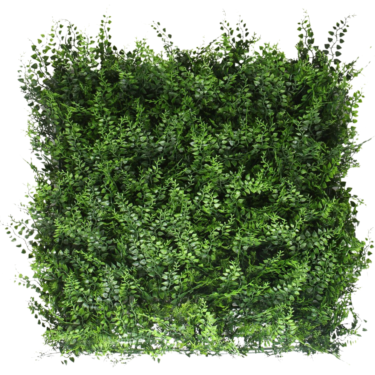 Fern - Artificial Living Wall Panel - 50cm x 50cm